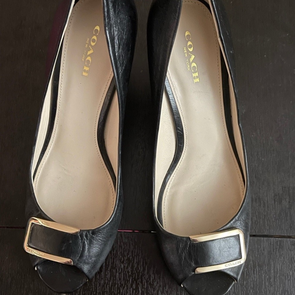 Coach Womens Elsa Semi Shine Sheep Classic Pump Heel Black Buckle High Wedge